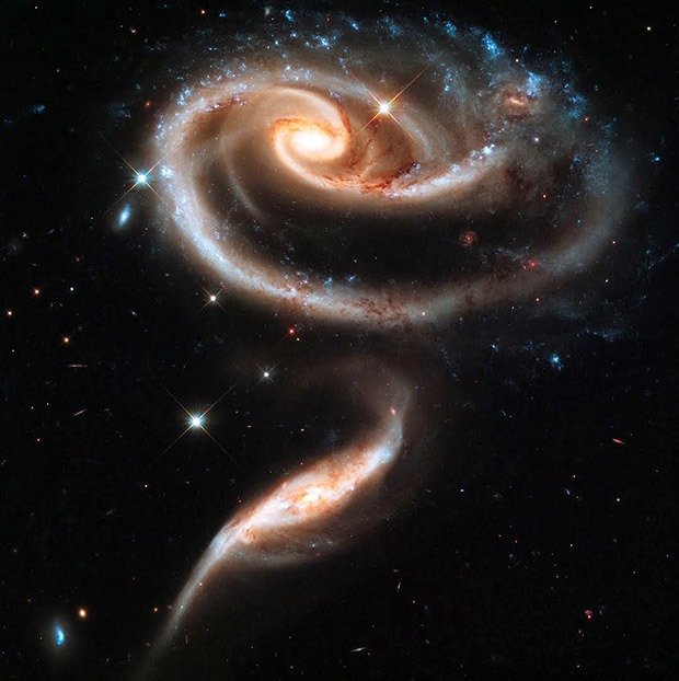 25. Rose Galaxies