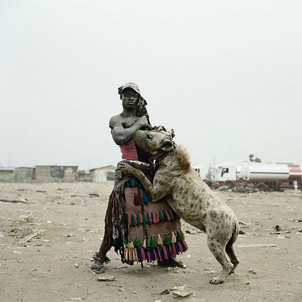 14. Pet Hyena