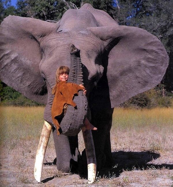 14. Tippi Degré