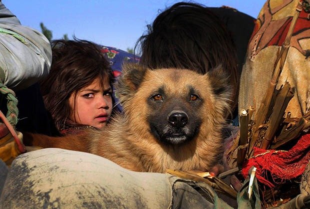 20. Girl and her Pet