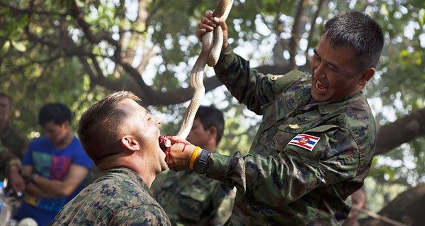 05. Cobra Blood Cocktail - U.S. Marines