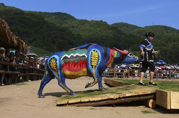 Buffalo Bodypainting