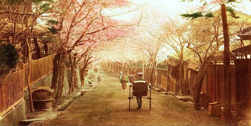 Japan 26