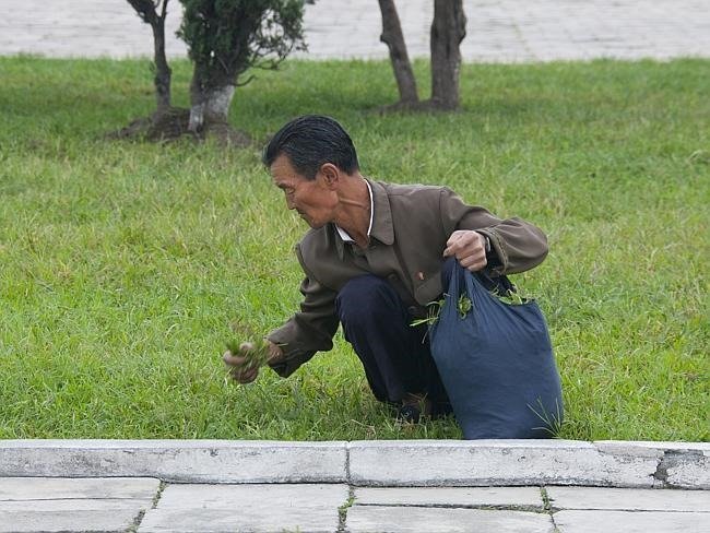 North Korea 23