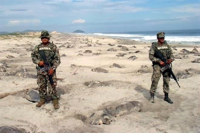 24. Marines