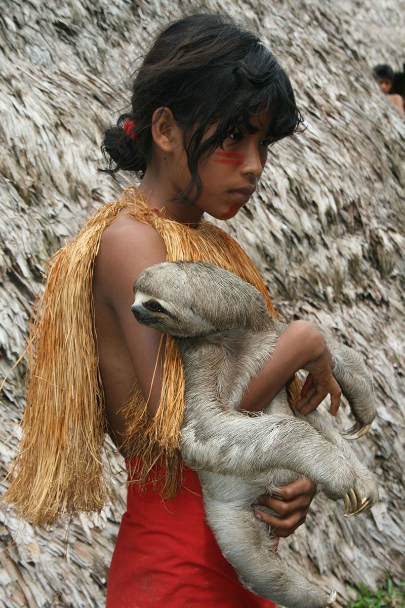 25. Pet