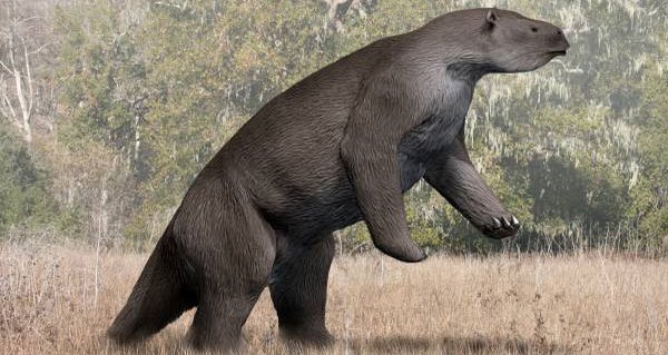 elephant-sized-sloth