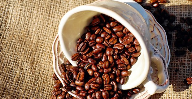 coffee