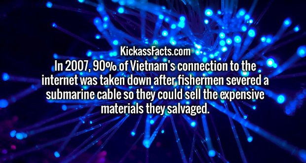 In 2007, 90% of Vietnam's connection to the internet was taken down after fishermen severed a submarine cable so they could sell the expensive materials they salvaged.
