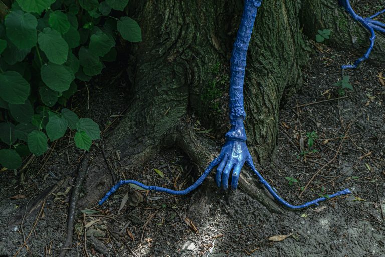 7 Weird and Wonderful Plants