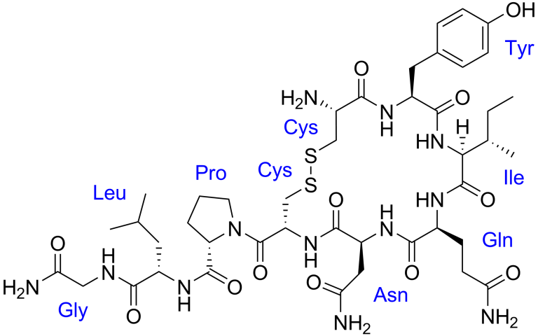 13 Interesting Oxytocin Hormone Facts