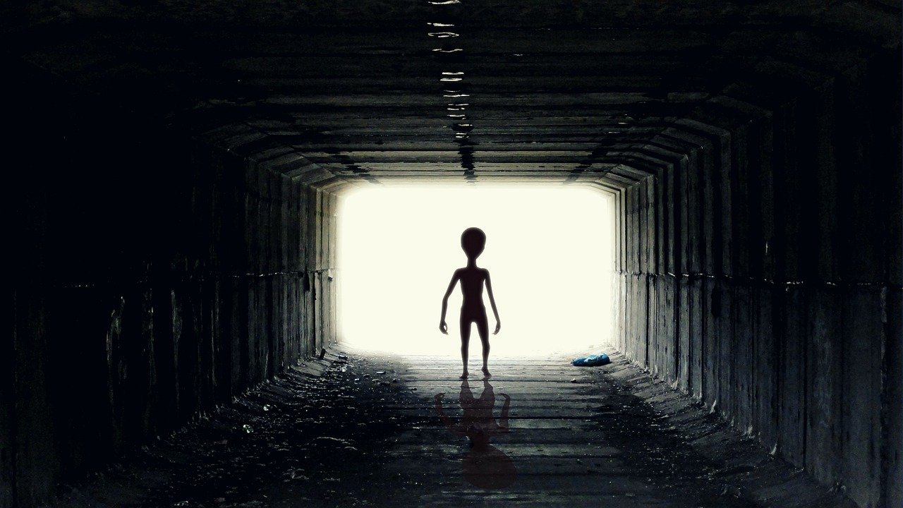 ufo, alien, guy