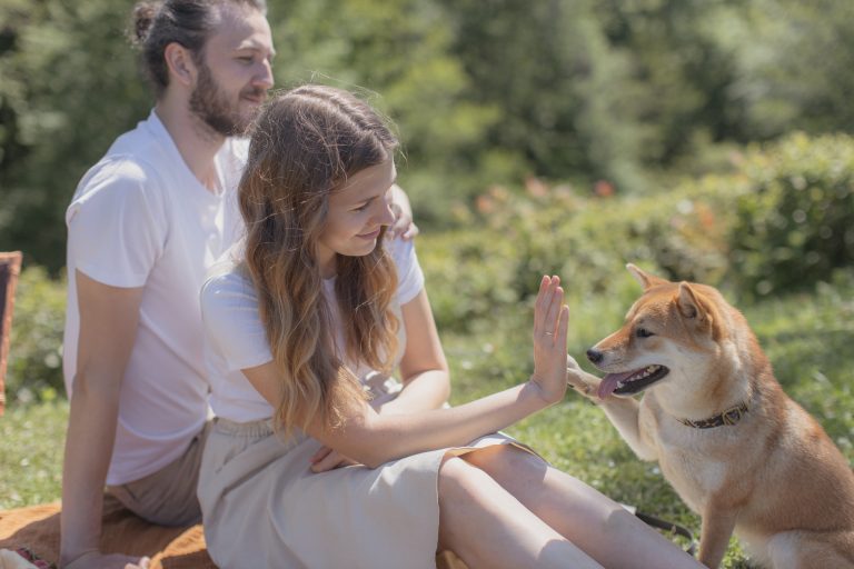 6 Essential Tips for Ensuring Your Dog’s Well-Being