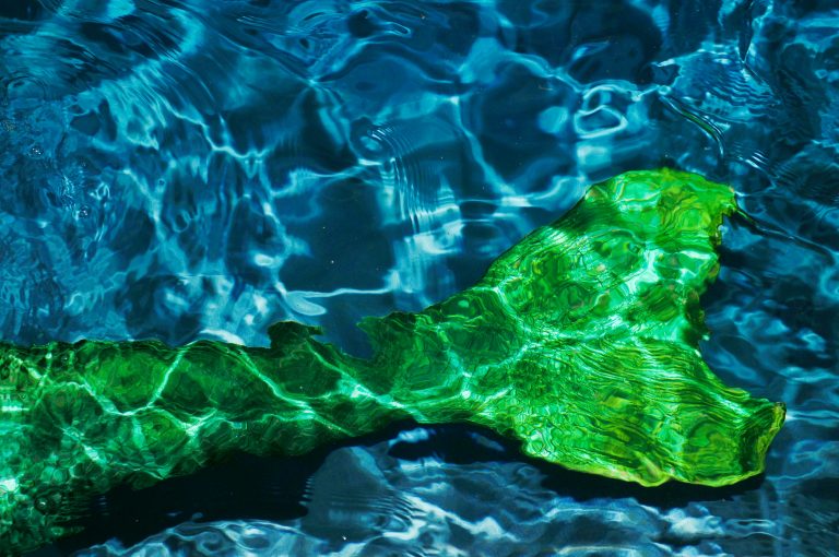 Do Mermaids Exist in Reality?