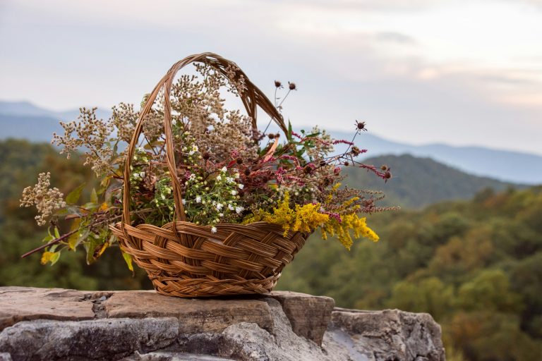 What It’s Really Like to Live Off-Grid?