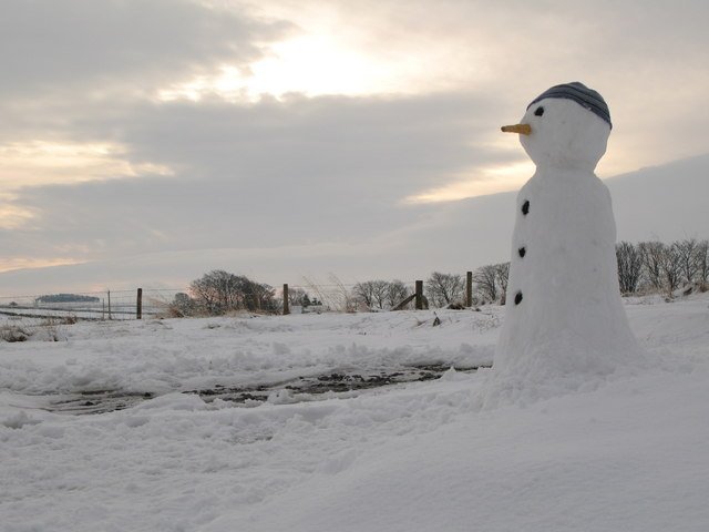 Why Do Snowmen Have Carrot Noses?