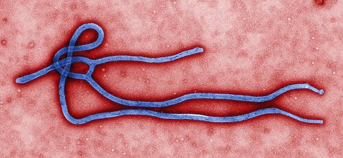 11 Little-Known Ebola Facts