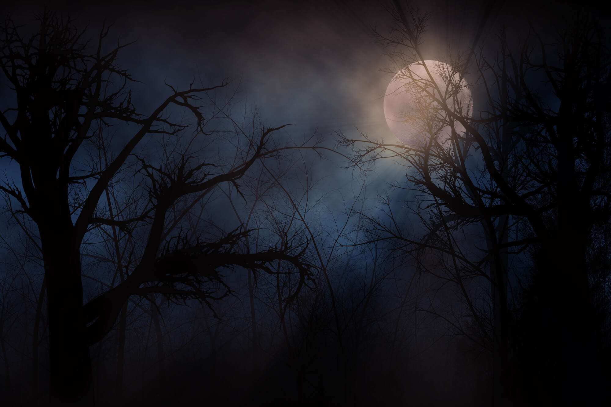 Illustration of night forest alight with bright moon in clouds illustrating edward mordrake