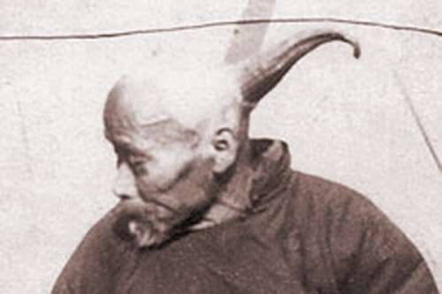 wang horned man 2